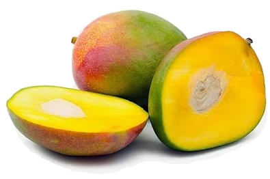 Mangue Africaine